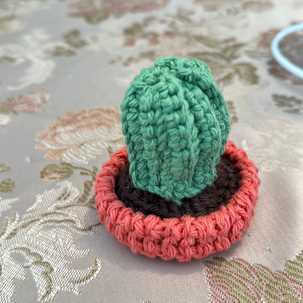 Mini crocheted cactus